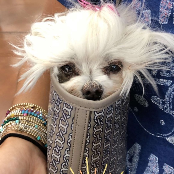 Meet your Posher - Picture 1 of 1